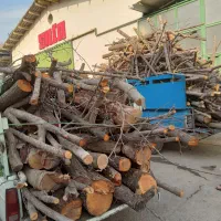 قطع وخرید چوب درخت هرس درختان هر درختی ک باشه