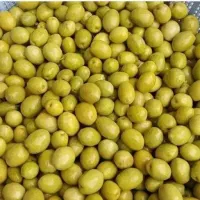 زیتون ویژه