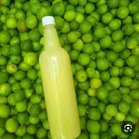 آبلیمو و آبغوره خورموج