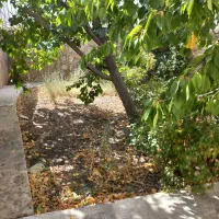 زمین مسکونی 250 و 260متری شهمیرزاد