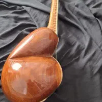 تار کلهر|سازهای سنتی|قم, باغ شریفی|دیوار