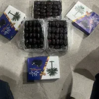 اجاره باغ خرما باغچمک