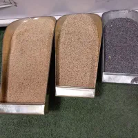 بذر درجه ۱|خدمات باغبانی و درختکاری|کوهدشت, |دیوار