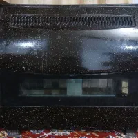 بخاری ۱۲ هزار دوعدد
