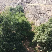 زمین مسکونی دارای همه چی