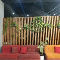 باریستا/ بارتندر