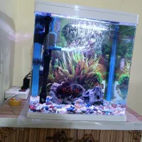 آکواریوم k390|ماهی|اهواز, پردیس دو|دیوار