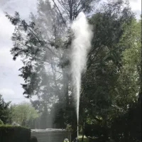 سمپاشی و هرس اصولی درختان / خدمات کامل باغداری