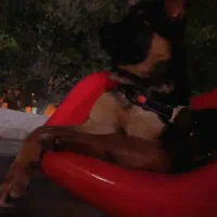 سگ ژرمن ورک