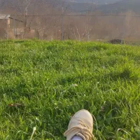 کاردرباغ