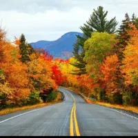 زمین-در-روستای-شادمهرک