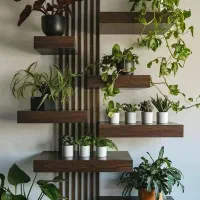 به قیمت تولیدی وشرایطی|گل و گیاه طبیعی|یزد, |دیوار