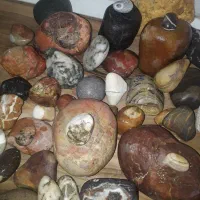فروش سنگهای زینتی