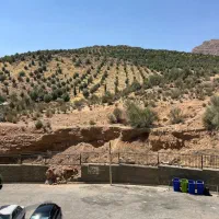 آپارتمان دوخواب توسعه و عمران بلوک جدید|اجارهٔ آپارتمان|شیراز, شهرک گلستان|دیوار