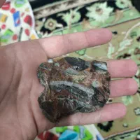 سنگ فسیل|جواهرات|رشت, کوی مهر|دیوار