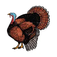 بوقلمو سالم وسرحال