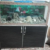 آکواریوم با لوازم