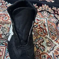 کفش کشتی|کیف، کفش، کمربند|نسیم‌شهر, |دیوار