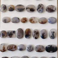 نگین شجر معاوضه با پرنده|جواهرات|قائن, |دیوار