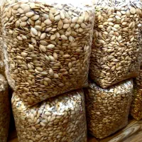 خشکبار تازه به صورت عمده و جزئی