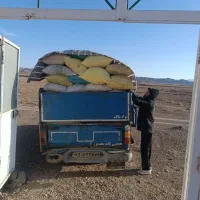 کود خالص کبک