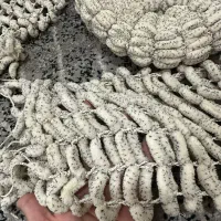 کلاه و شالگردن شیک نو نو کرمی|لباس|اندیشه, اندیشه فاز ۱|دیوار