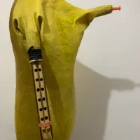 نی انبان حرفه ای پوست چرم|سازهای بادی|بندرعباس, |دیوار