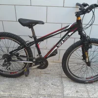 دوچرخه ویوا۲۴