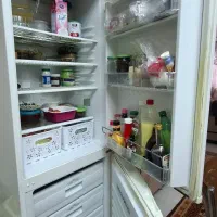 یخچال فریزر هیمالیا ،سرمایش مطمئن مناسب برای همه|یخچال و فریزر|زنجان, |دیوار