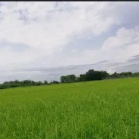 زمین-فروشی
