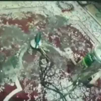 مبل شویی و قالیشویی پاکان|خدمات نظافت|شیراز, ریاستی|دیوار