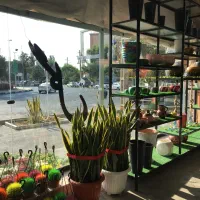 فروشنده و صندوقدار|استخدام خدمات فروشگاه و رستوران|قم, آزادگان|دیوار