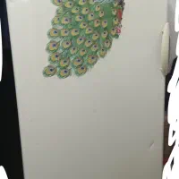 فیریزر        پارس