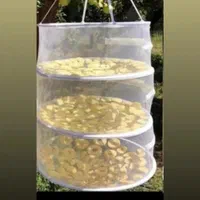 توری  سبزی خشک کن|ظروف نگهدارنده، پلاستیکی، یک‌بارمصرف|تبریز, |دیوار