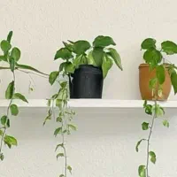 شلف دیواری پایه مخفی