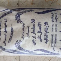 برنج عنبر بو شیروان،شوشتر