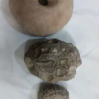 سنگ کلکسیونی|کلکسیون اشیاء عتیقه|مشهد, امیرآباد|دیوار