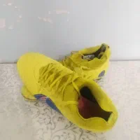 استوک ورزشی