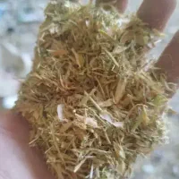 کاه عدس وسیاهدانه