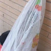 سرویس کودک دلیجان درحدنو