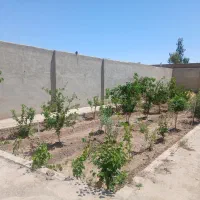 باغچه-در-روستای-جنت-آباد
