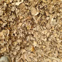 خاک برگ درجه یک