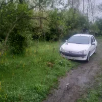 راننده ۲۰۶ سفید مدل ۹۴