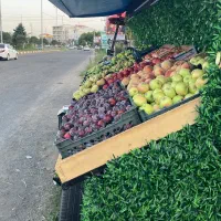 فروش گاری میوه|فروشگاه و مغازه|ماسال, |دیوار