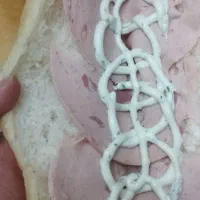 پخش ساندویچ سرد