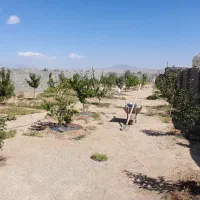 فروش باغ روبروی شهرک رضوی بسطام|فروش زمین و ملک کلنگی|بسطام, |دیوار