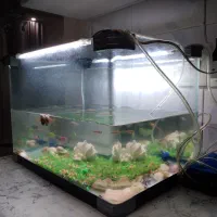 اکواریم شیشه خم