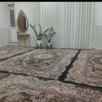 شش عدد فرش به فروش میرسد
