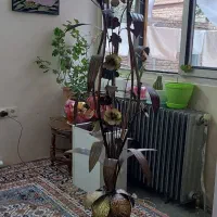 اباژور وچراغ خواب|چراغ خواب و آباژور|ارومیه, |دیوار