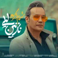 بلیط کنسرت شهرام شکوهی به قیمت خرید